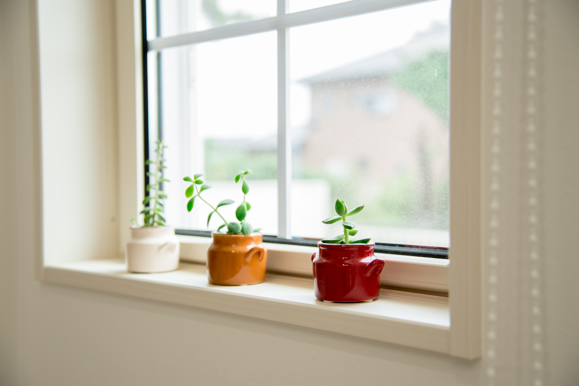 AdobeStock_194400440
